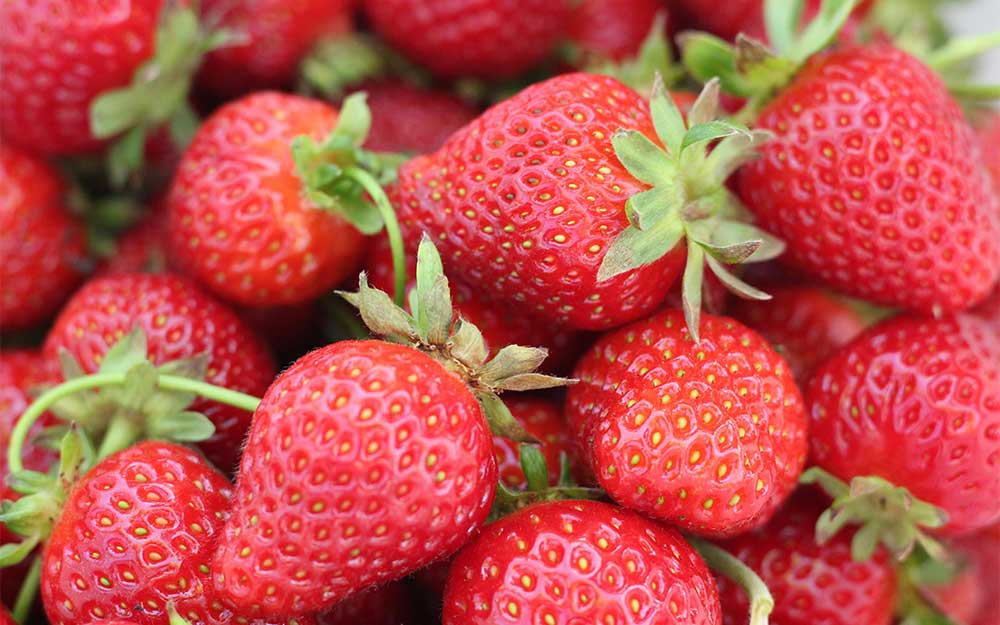 딸기의 놀라운 건강 효능: 심장 건강부터 피부 미용까지